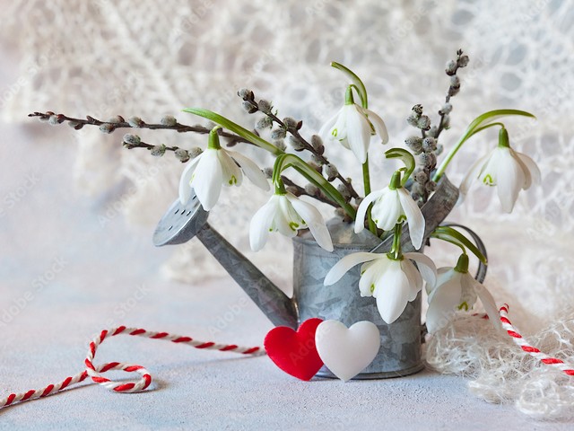 Spring Decor with Snowdrops and Martenitsa - Bulgarian traditional spring decor with a bouquet of snowdrops and willow branches in a watering can, and a martenitsa featuring hearts on cord of twined red and white threads. <br />
In folk beliefs, the  blossom snowdrops and martenitsa are symbols of spring, the end of the cold and the awakening of nature to new life.<br />
According to an old legend, the combination between the white and the red thread meant the infinity of life and the immortality of the human spirit. - , spring, decor, decors, snowdrops, snowdrop, martenitsa, holiday, holidays, Bulgarian, traditional, bouquet, willow, branches, watering, can, hearts, heart, cord, twined, red, white, threads, thread, folk, beliefs, blossom, symbols, end, cold, awakening, nature, life, legend, combination, infinity, immortality, human, spirit - Bulgarian traditional spring decor with a bouquet of snowdrops and willow branches in a watering can, and a martenitsa featuring hearts on cord of twined red and white threads. <br />
In folk beliefs, the  blossom snowdrops and martenitsa are symbols of spring, the end of the cold and the awakening of nature to new life.<br />
According to an old legend, the combination between the white and the red thread meant the infinity of life and the immortality of the human spirit. Resuelve rompecabezas en línea gratis Spring Decor with Snowdrops and Martenitsa juegos puzzle o enviar Spring Decor with Snowdrops and Martenitsa juego de puzzle tarjetas electrónicas de felicitación  de puzzles-games.eu.. Spring Decor with Snowdrops and Martenitsa puzzle, puzzles, rompecabezas juegos, puzzles-games.eu, juegos de puzzle, juegos en línea del rompecabezas, juegos gratis puzzle, juegos en línea gratis rompecabezas, Spring Decor with Snowdrops and Martenitsa juego de puzzle gratuito, Spring Decor with Snowdrops and Martenitsa juego de rompecabezas en línea, jigsaw puzzles, Spring Decor with Snowdrops and Martenitsa jigsaw puzzle, jigsaw puzzle games, jigsaw puzzles games, Spring Decor with Snowdrops and Martenitsa rompecabezas de juego tarjeta electrónica, juegos de puzzles tarjetas electrónicas, Spring Decor with Snowdrops and Martenitsa puzzle tarjeta electrónica de felicitación
