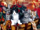 Christmas Kittens Wallpaper