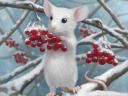 Winter Mouse Wallpaper