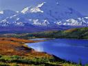 Denali National Park Alaska USA