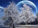 Full Moon Winter Landscape Wallpaper