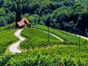 Heart Shaped Road through Vineyard in Slovenia