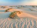 Sand Dunes Mesaieed Qatar