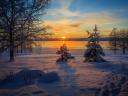 Winter Sunset Arvika Sweden Wallpaper