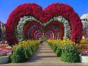 Hearts Passage Miracle Gardens in Dubai UAE