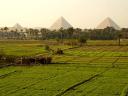 Pyramids of Giza across Fertile Field Cairo Egypt
