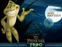 Disney Prince Naveen Princess and the Frog Poster