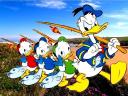 Disney Summer Donald Duck and Ducklings Gang Wallpaper