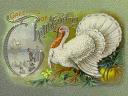 Greetings of Thanksgiving Vintage Postcard