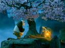 Kung Fu Panda Master Oogway discovers Po