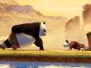 Kung Fu Panda Po begins study Martial Arts