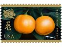 Lunar New Year First Forever US Stamp