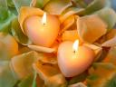 Valentines Day Candles and Roses Petals Wallpaper