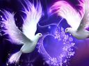 Doves and Heart Wallpaper
