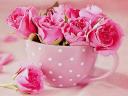 Pink Roses in Teacup Still Life
