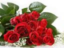 Valentines Day Bouquet of Red Roses