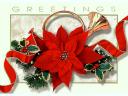 Christmas Card Red Poinsettia Ribbons and Horn