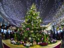 Christmas Tree in Central Moscow