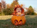 Halloween Baby in Tigger Costume