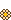 Saffron Crocus Closeup